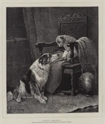 Stille Sympathie